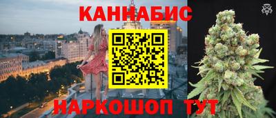 мдпв Славгород