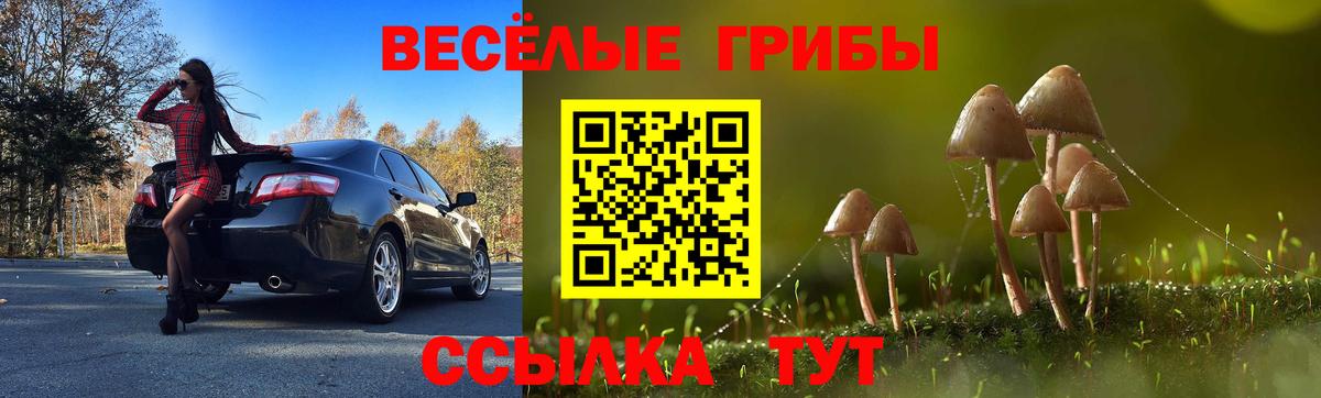 Нижневартовск  Псилоцибиновые грибы Psilocybe  Галлюциногенные грибы GOLDEN TEACHER  Вход с VPN 